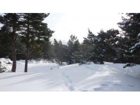 photo coins arrondis